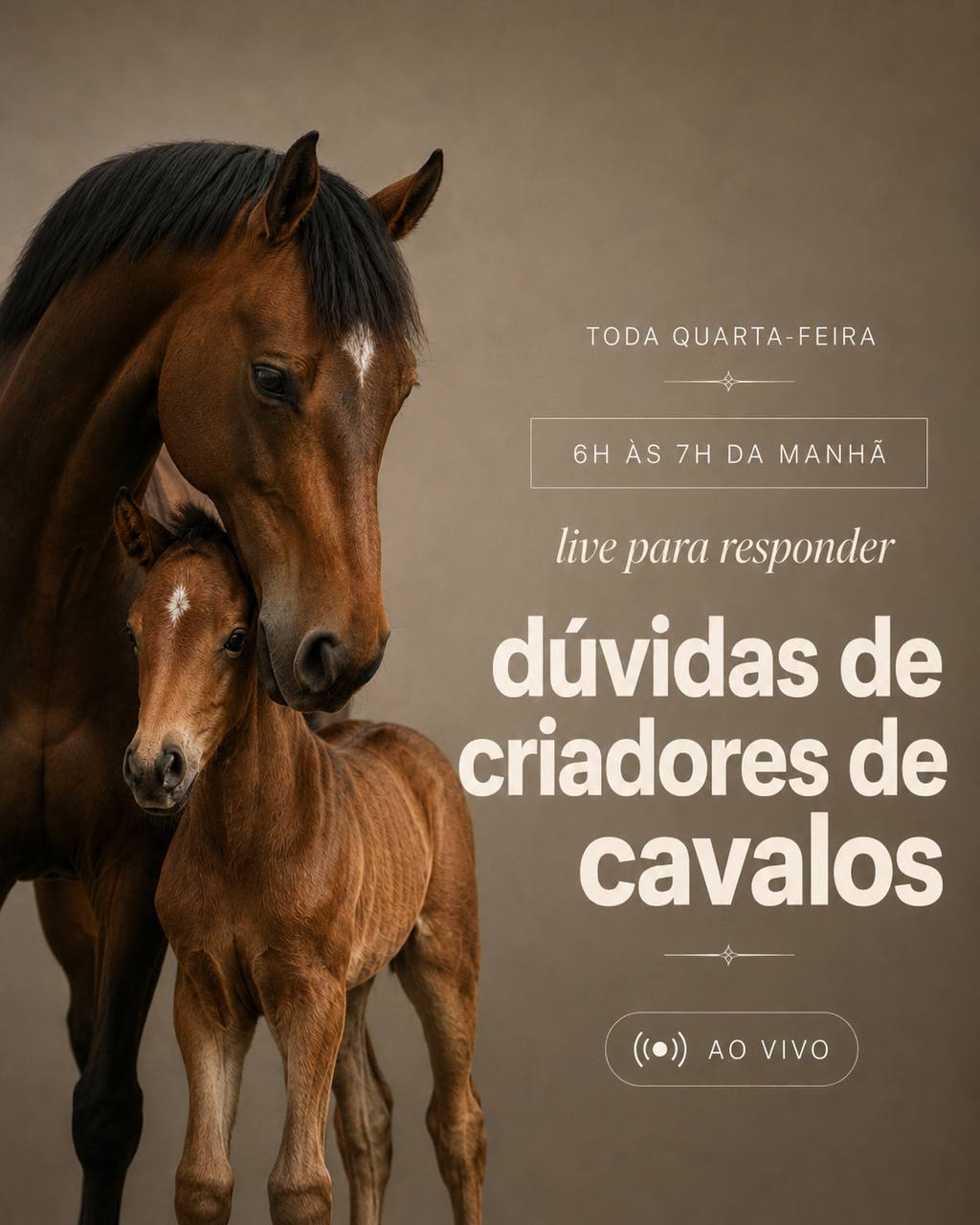 Live semanal para responder dúvidas de criadores de cavalos